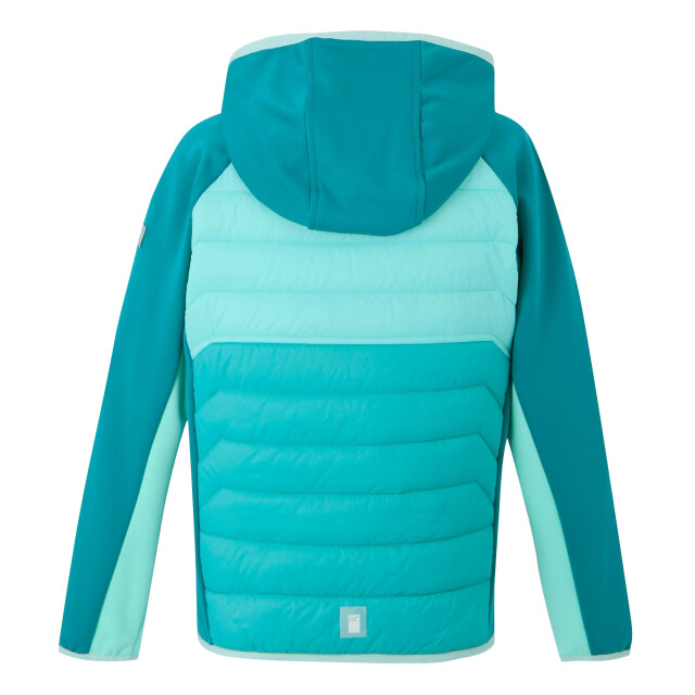 Regatta Kinder/kids kielder ix hybride jas UTRG11559_turquoisearubablueexoticplume large