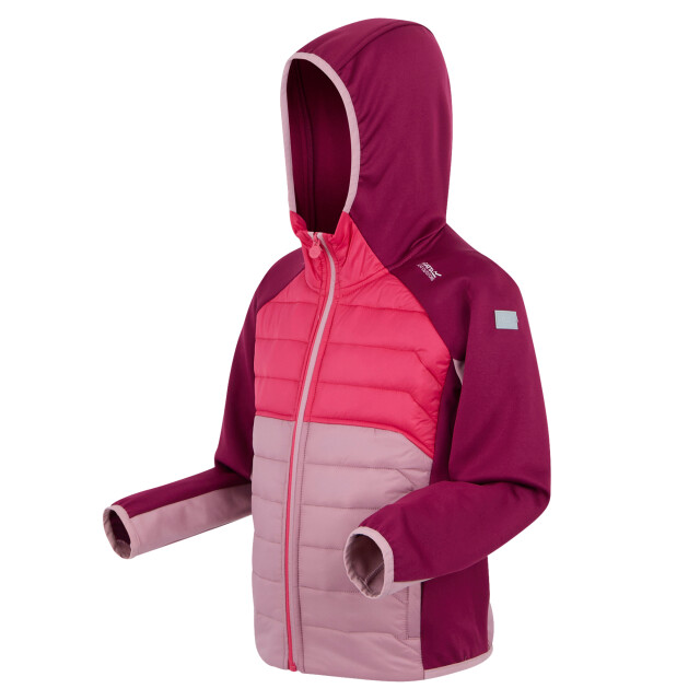 Regatta Kinder/kids kielder ix hybride jas UTRG11564_lilaspopbeaujolais large
