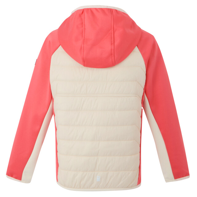 Regatta Kinder/kids kielder ix hybride jas UTRG11564_lightvanillapeachbloom large