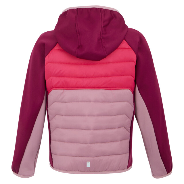 Regatta Kinder/kids kielder ix hybride jas UTRG11564_lilaspopbeaujolais large