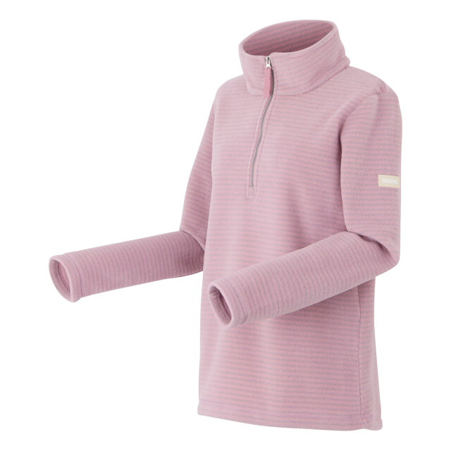 Regatta Dames solenne ii fleecejack UTRG11494_lilas large