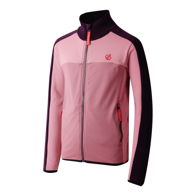 Dare2b Kinder/kids emergent iv stretch midlayer UTRG11451_deepplumlilas large