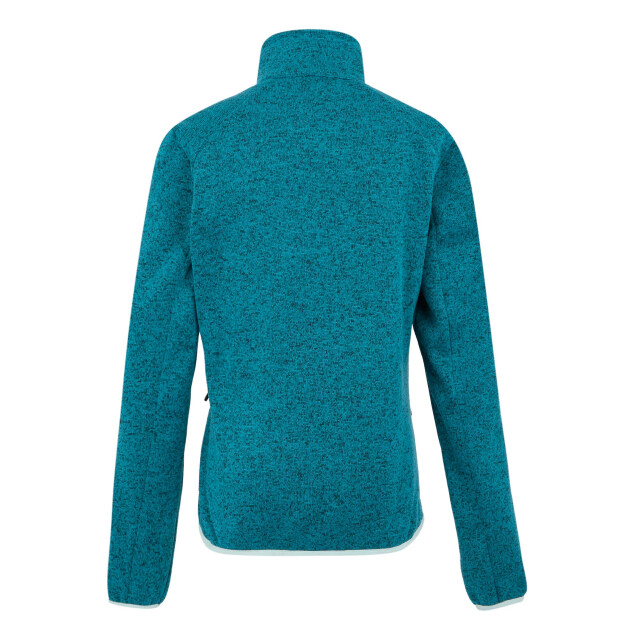Regatta Dames newhill ii full zip fleecejack UTRG11446_exoticplumeicymorn large