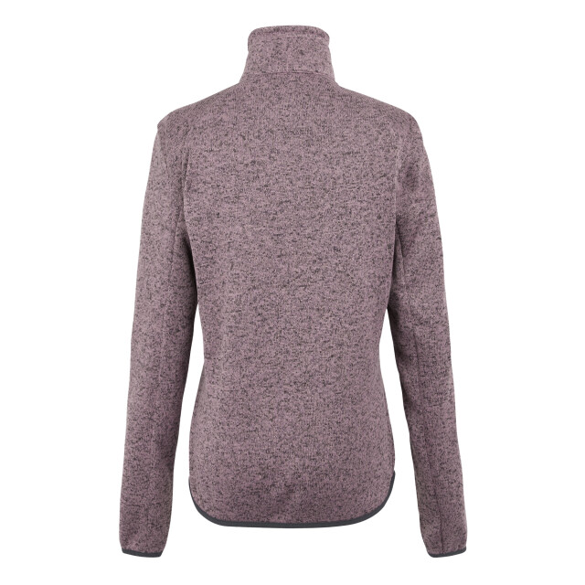Regatta Dames newhill ii full zip fleecejack UTRG11446_lilaslightvanilla large