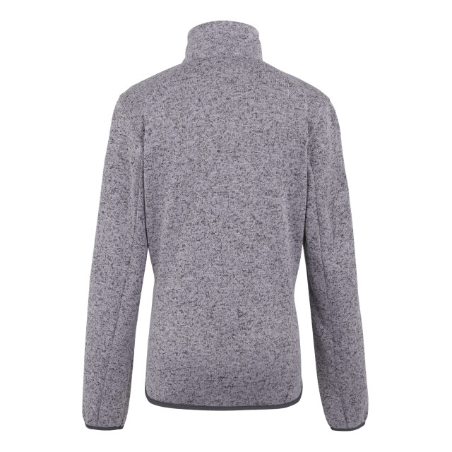 Regatta Dames newhill ii full zip fleecejack UTRG11446_lilacthistlelilachint large