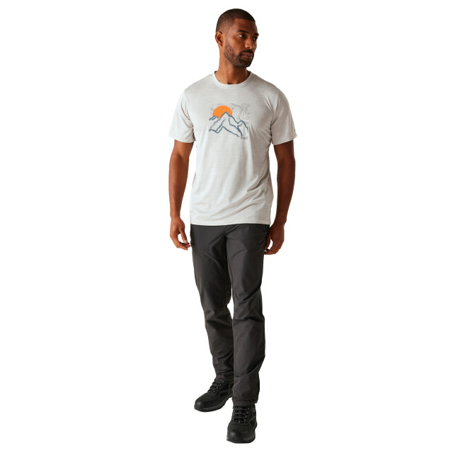 Regatta Heren fingal ix mountain scene marl t-shirt UTRG11409_icebergmarl large