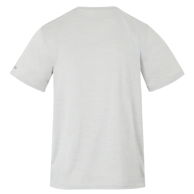 Regatta Heren fingal ix mountain scene marl t-shirt UTRG11409_icebergmarl large