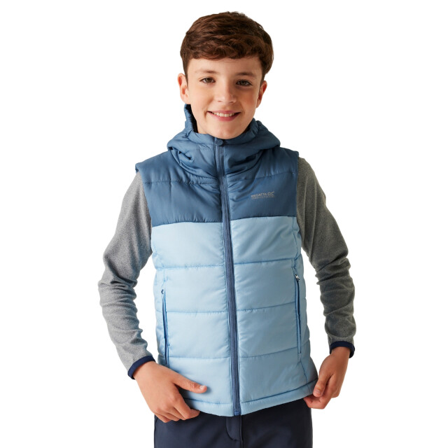 Regatta Kinder/kinder lofthouse ii gilet UTRG11261_coronetblueclearsky large