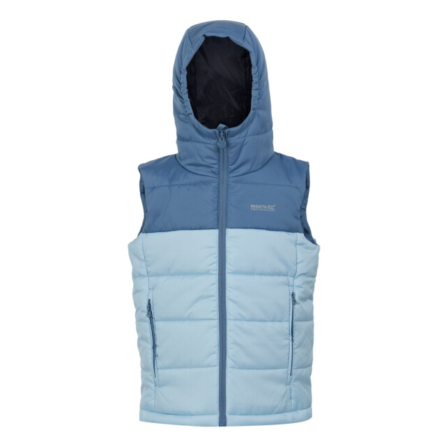 Regatta Kinder/kinder lofthouse ii gilet UTRG11261_coronetblueclearsky large