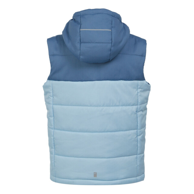 Regatta Kinder/kinder lofthouse ii gilet UTRG11261_coronetblueclearsky large