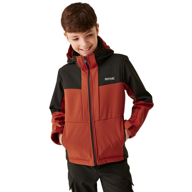 Regatta Kinder/kids haydenbury ii soft shell jas UTRG11213_redochreblack large