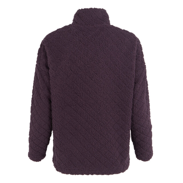 Regatta Dames apphia full zip fleecejack UTRG11171_deepplum large