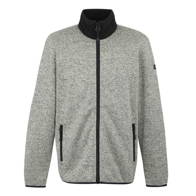 Regatta Heren branleigh full zip fleecejack UTRG11106_moonstruck large