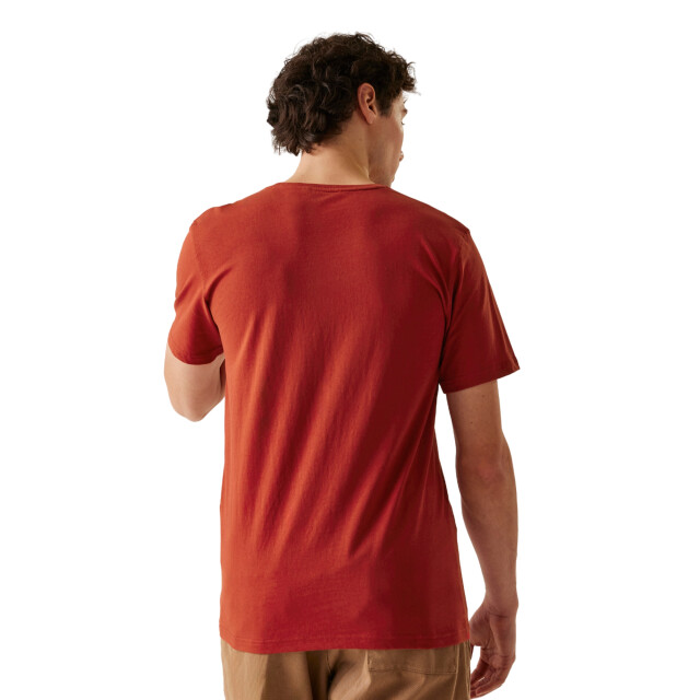 Regatta Heren cline ix explore scenery t-shirt UTRG11112_redochre large