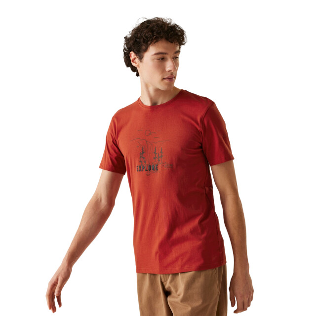 Regatta Heren cline ix explore scenery t-shirt UTRG11112_redochre large