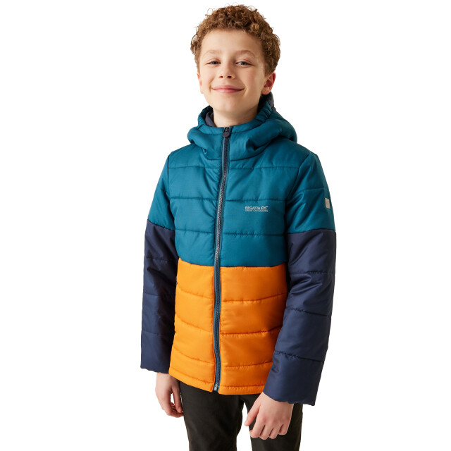 Regatta Lofthouse viii geïsoleerde jas voor kinderen/kinderen UTRG11028_moroccanbluefox large