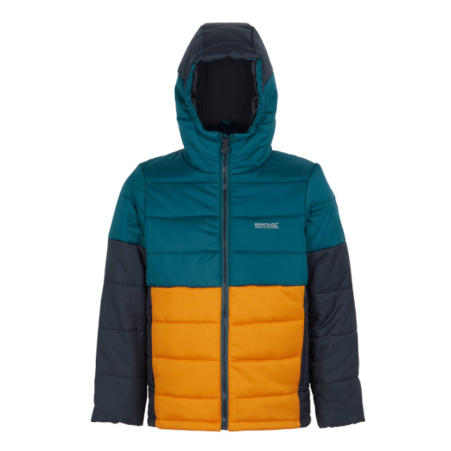 Regatta Lofthouse viii geïsoleerde jas voor kinderen/kinderen UTRG11028_moroccanbluefox large