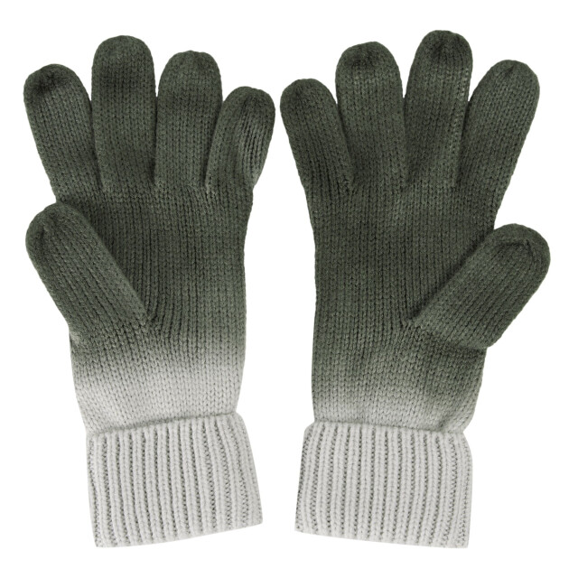 Regatta Dames frosty viii ombre handschoenen UTRG11038_darkkhakimoonstruck large