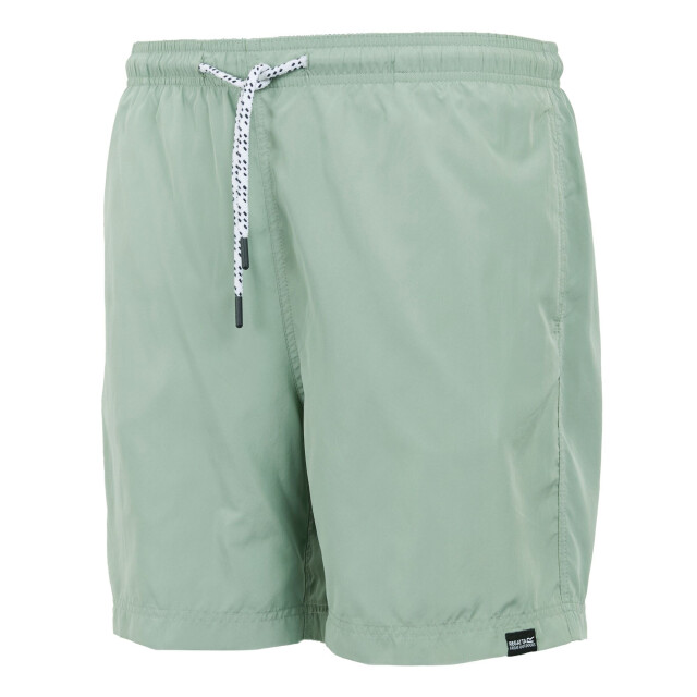 Regatta Heren mackleyna zwemshorts UTRG10824_glacier large