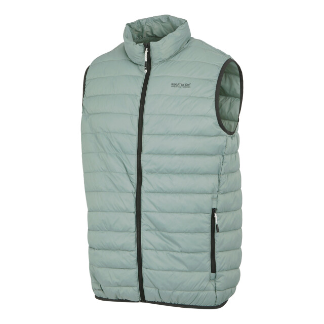 Regatta Heren hillpack ii gilet UTRG10763_glacier large