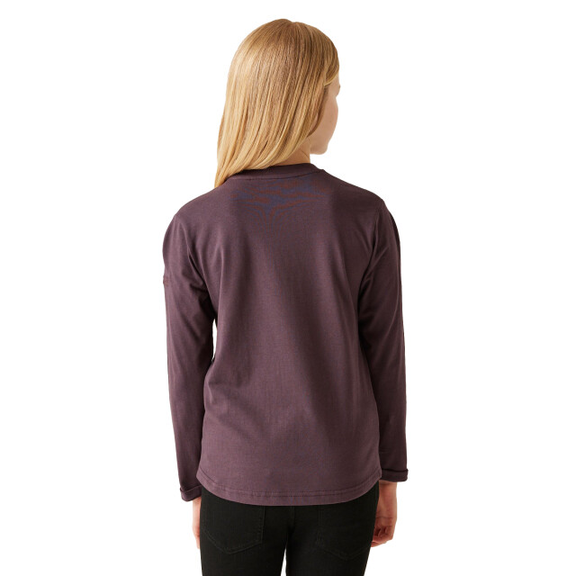 Regatta Kinder/kinder wenbie iii ster t-shirt met lange mouwen UTRG10873_deepplum large