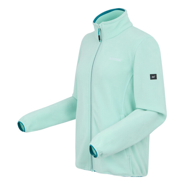 Regatta Dames clemence iv full zip fleece UTRG9787_icymorn large