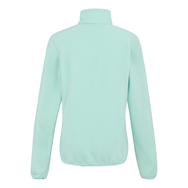 Regatta Dames clemence iv full zip fleece UTRG9787_icymorn large