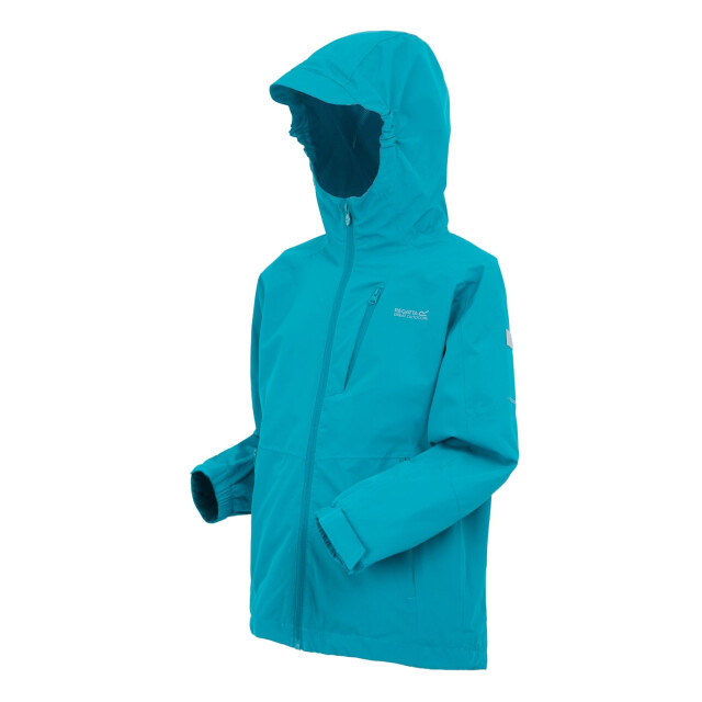 Regatta Calderdale ii waterdichte jas voor kinderen/kinderen UTRG9741_exoticplume large