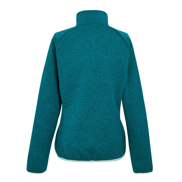 Regatta Dames ravenhill full zip fleece top UTRG9742_exoticplumeicymorn large