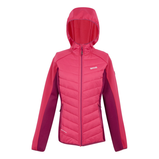 Regatta Dames andreson viii hybride jas UTRG9336_popbeaujolais large