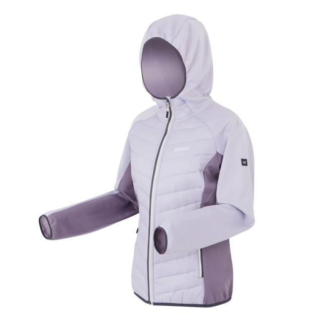 Regatta Dames andreson viii hybride jas UTRG9336_lilacpurplesage large