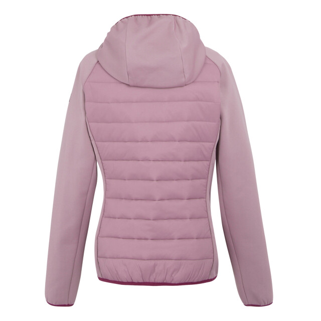 Regatta Dames andreson viii hybride jas UTRG9336_lilasbeaujolais large