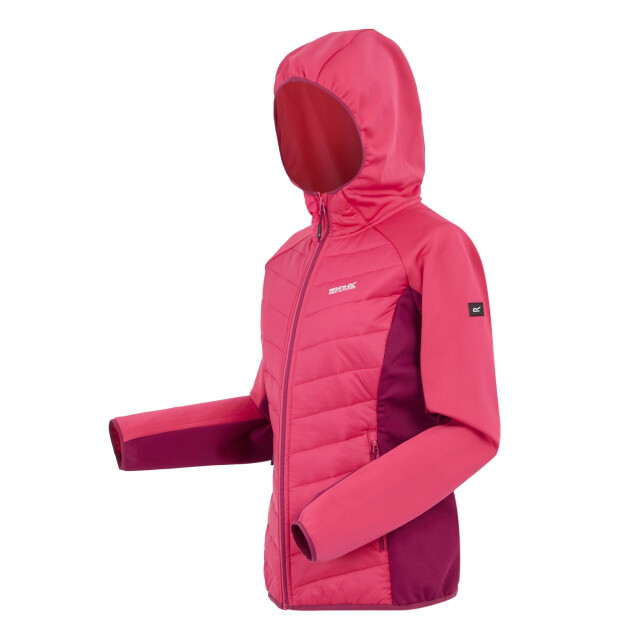 Regatta Dames andreson viii hybride jas UTRG9336_popbeaujolais large