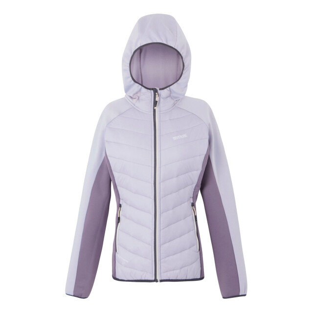 Regatta Dames andreson viii hybride jas UTRG9336_lilacpurplesage large