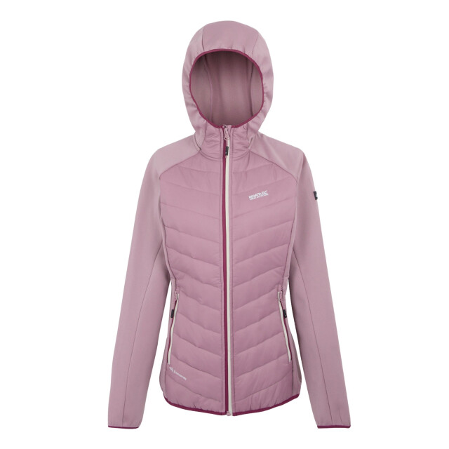 Regatta Dames andreson viii hybride jas UTRG9336_lilasbeaujolais large
