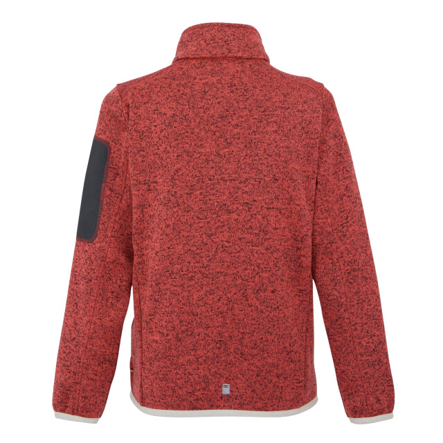 Regatta Kinder/kinder newhill fleece jas UTRG8902_peachbloomlightvanilla large