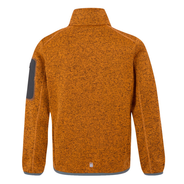 Regatta Kinder/kinder newhill fleece jas UTRG8902_brightmarigoldglacier large