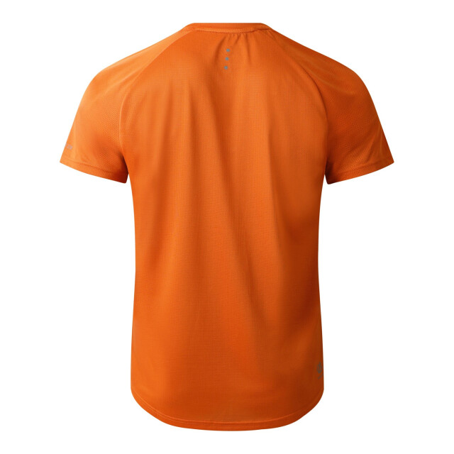 Dare2b Heren versnellen lichtgewicht t-shirt UTRG8622_spicyroute large