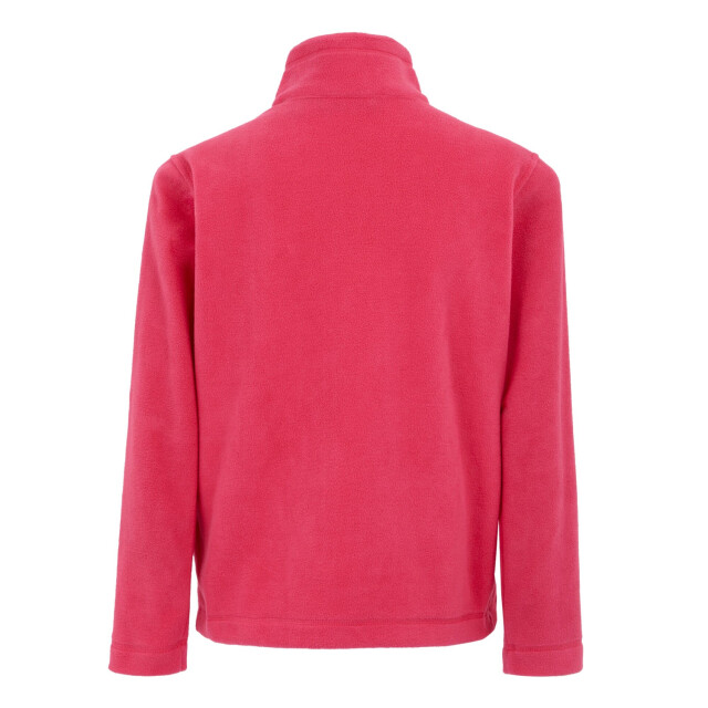 Regatta Groot buitenshuis kinderen/kinderen king ii lichtgewicht full zip fleece jasje UTRG565_pop large