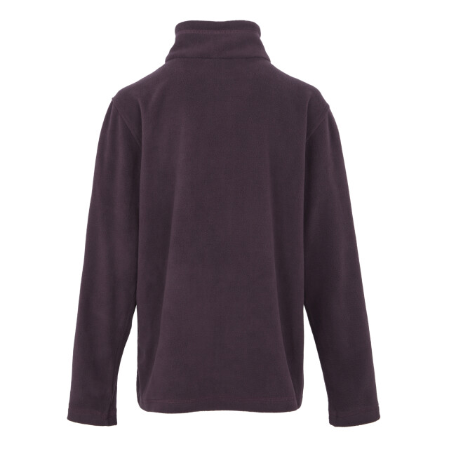 Regatta Groot buitenshuis kinderen/kinderen king ii lichtgewicht full zip fleece jasje UTRG565_deepplum large