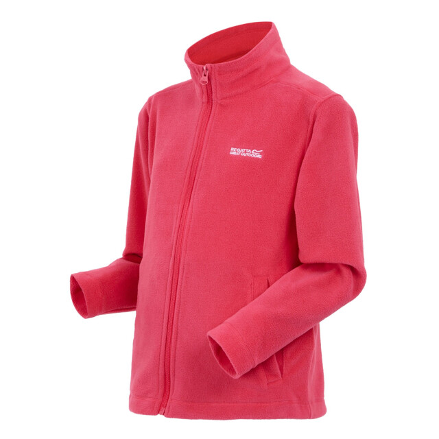 Regatta Groot buitenshuis kinderen/kinderen king ii lichtgewicht full zip fleece jasje UTRG565_pop large