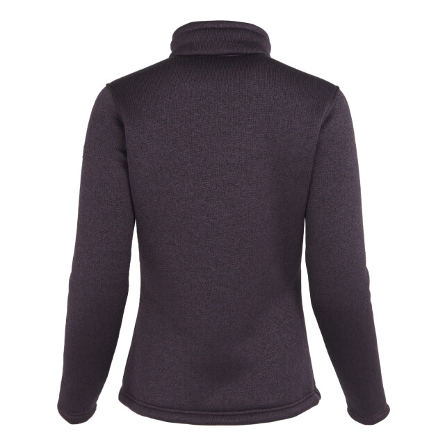 Regatta Dames razia ii full zip fleece jacket UTRG8166_deepplumblack large