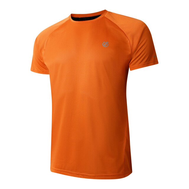 Dare2b Heren versnellen lichtgewicht t-shirt UTRG8622_spicyroute large