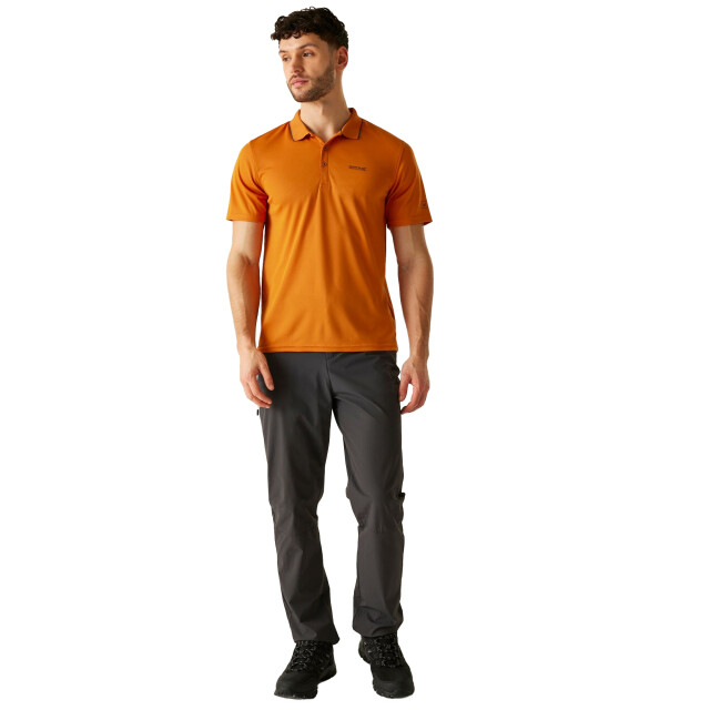 Regatta Heren maverick v actief poloshirt UTRG4931_foxash large
