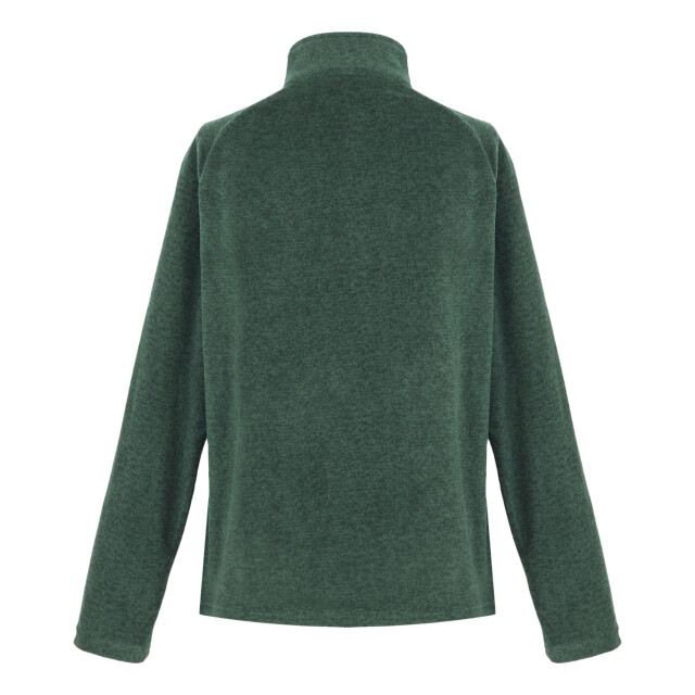 Regatta Dames pimlo half zip fleece UTRG5295_rainforest large