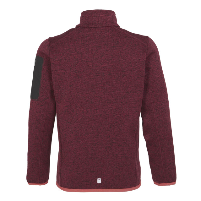 Regatta Kinder/kinder newhill fleece jas UTRG8902_rumbaredredsky large