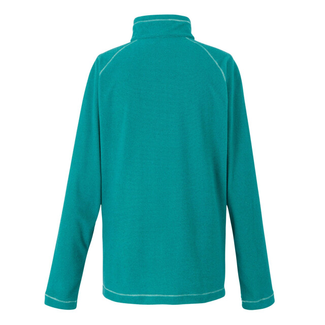 Regatta Geweldige outdoor dames montes half zip fleece top UTRG1953_exoticplumegulfstream large