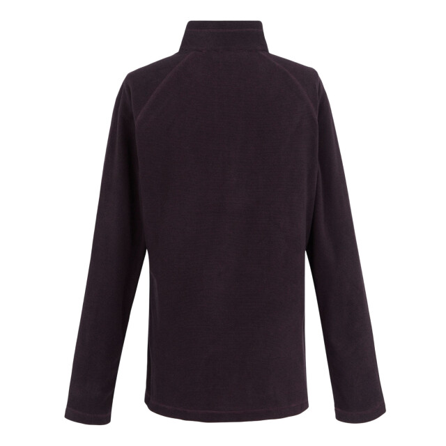 Regatta Geweldige outdoor dames montes half zip fleece top UTRG1953_deepplumblack large