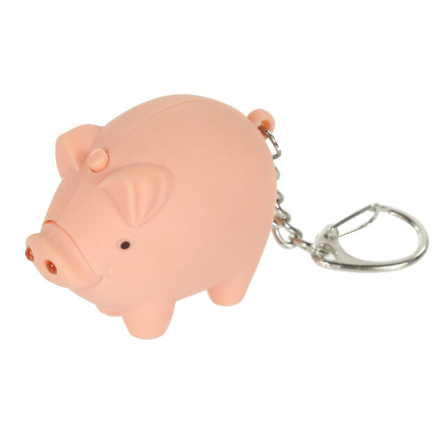 Regatta Grote buitenkinderen/kinderen dierlijke sleutelhanger fakkel UTRG1673_pigpink large