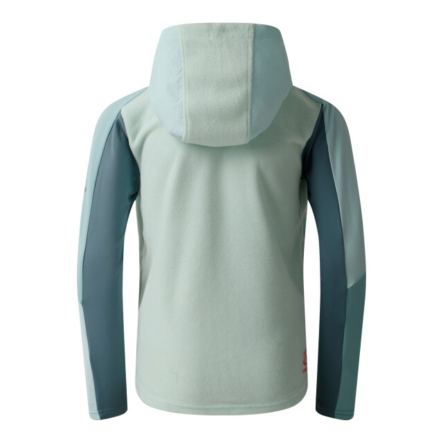 Dare2b Kinder/kids thriving iv fleecejack UTRG12040_aquifericymorn large